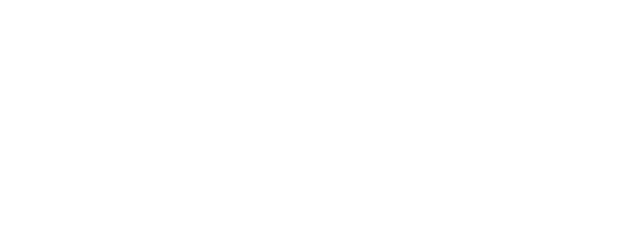 BDO-Logo-white